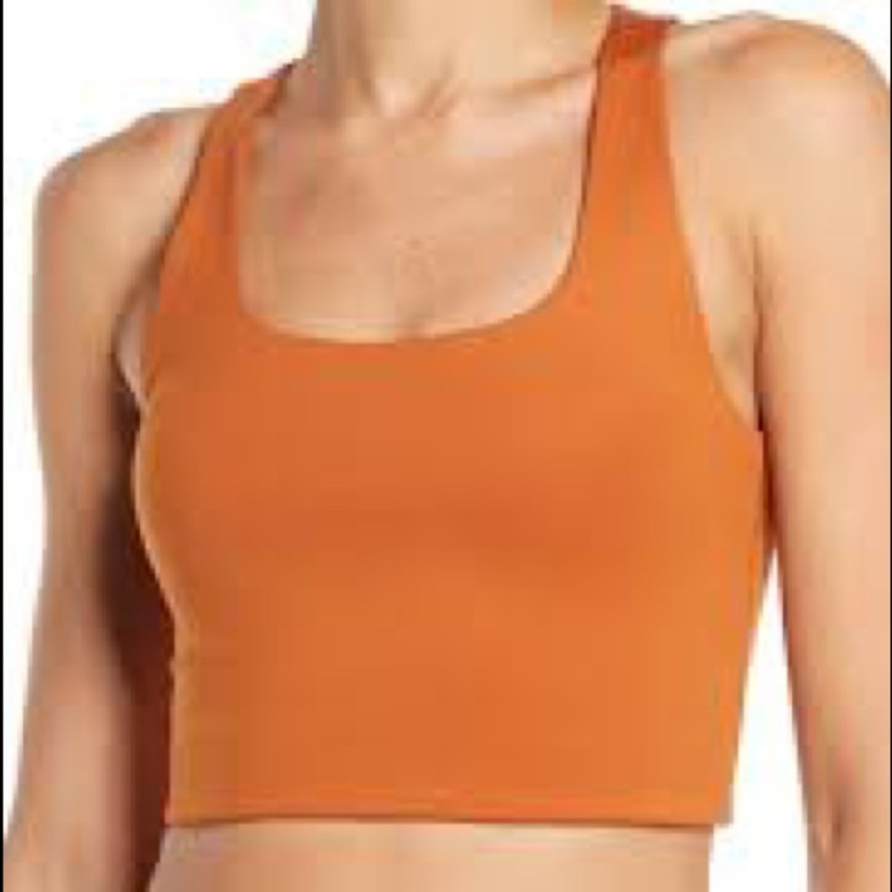 Girlfriend Collective Burnt Orange Bra/Crop